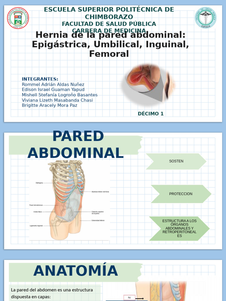 Tipos de Hernias Abdominales en Mujeres | PDF | Abdomen | Peritoneo