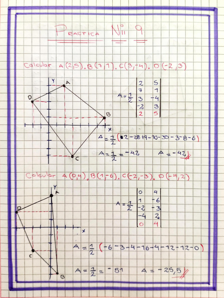 PRACTICA | PDF