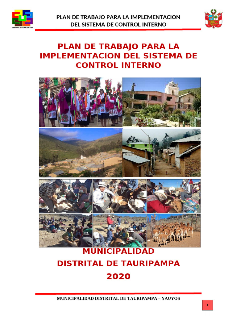 Plan de Trabajo para La Implementacion Del Sistema de Control Interno ...