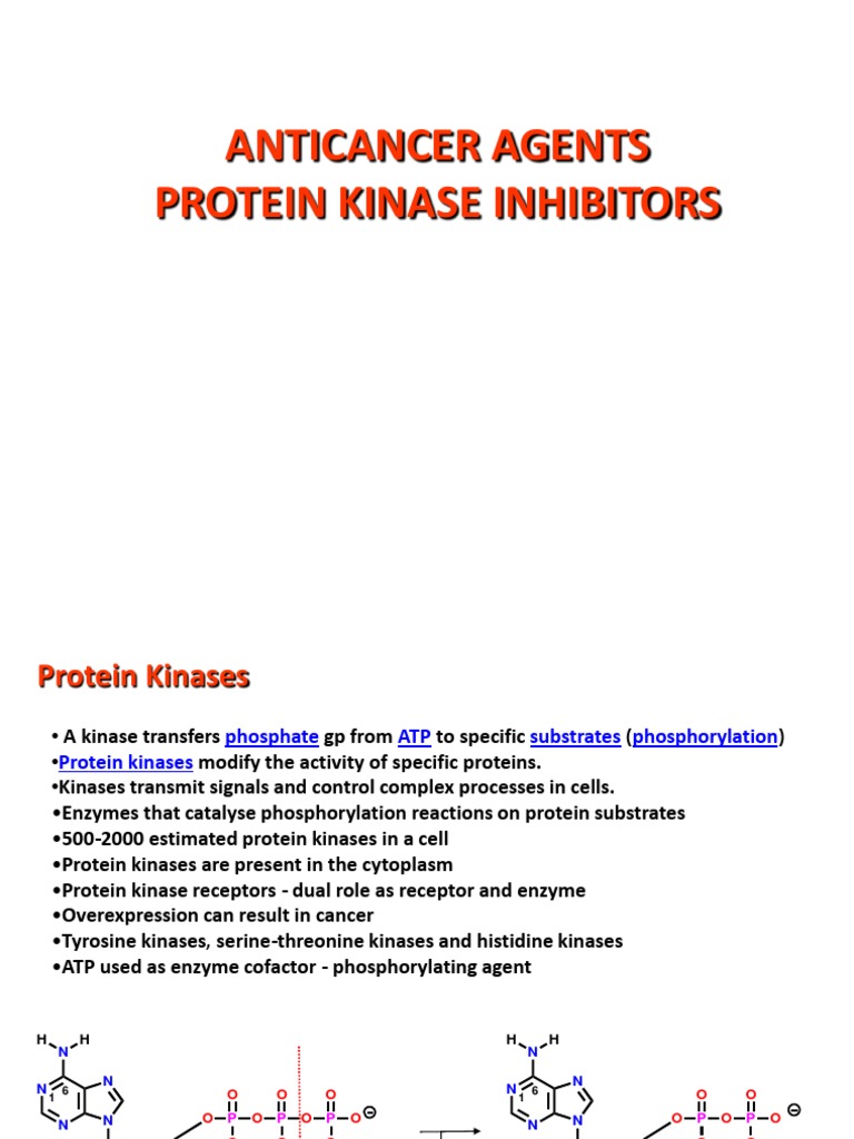 Protein Kinase Inhibitors in Cancer Therapy | PDF | Protein Kinase | Kinase