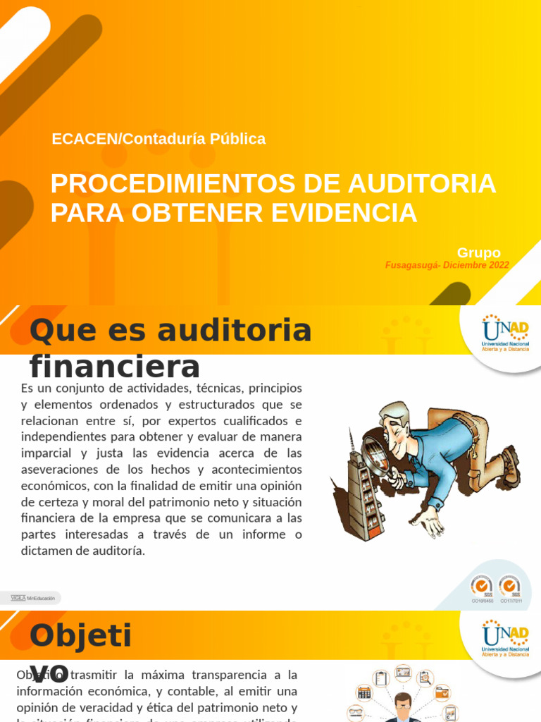 Procedimiento de Auditoria | PDF | Auditoría | Contralor