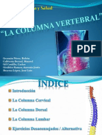 Columna Vertebral