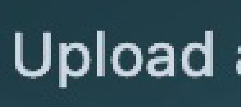Word Upload | PDF