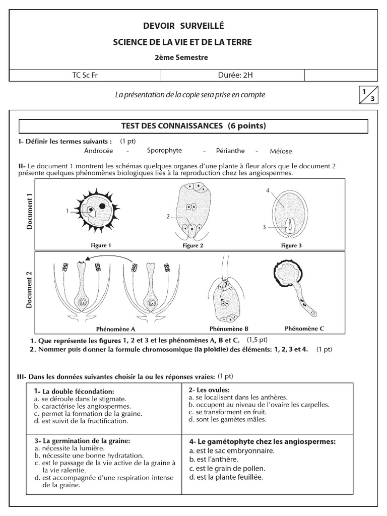 Devoir Surveillé en SVT : Angiospermes et Gui | PDF | Graine | Pollen