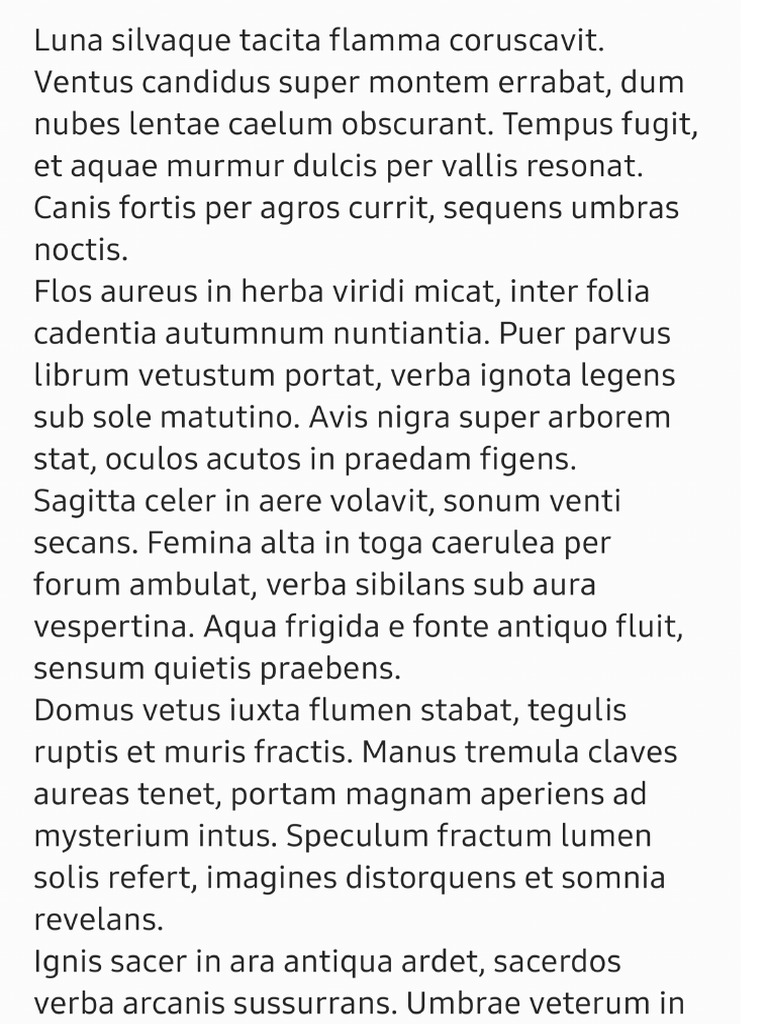Loremipsum PDF