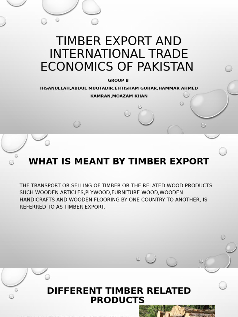 Pakistan Timber Export Overview 2022 | PDF | Wood | Lumber