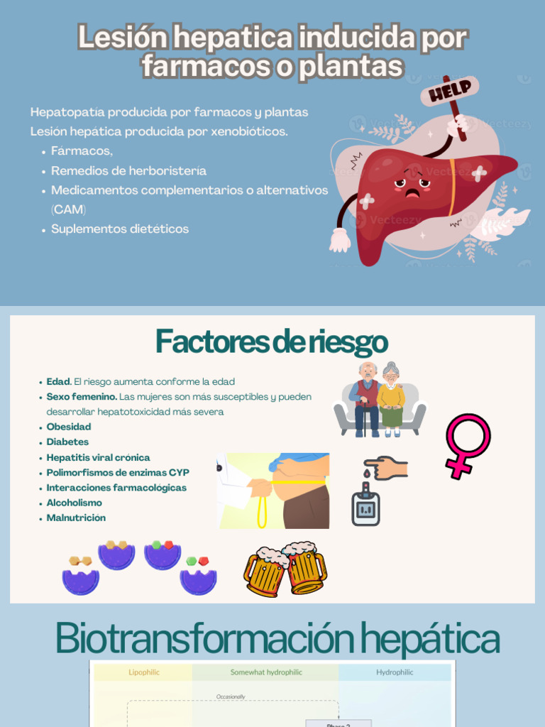 Escala RUCAM en Hepatotoxicidad | PDF | Hepatitis | Medicina
