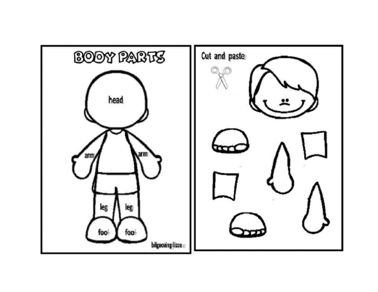 Body parts | PDF