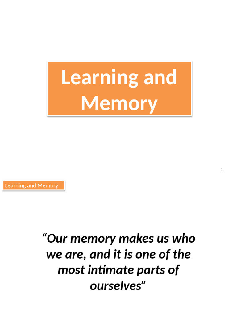 Understanding Learning and Memory Mechanisms | PDF | Hippocampus ...