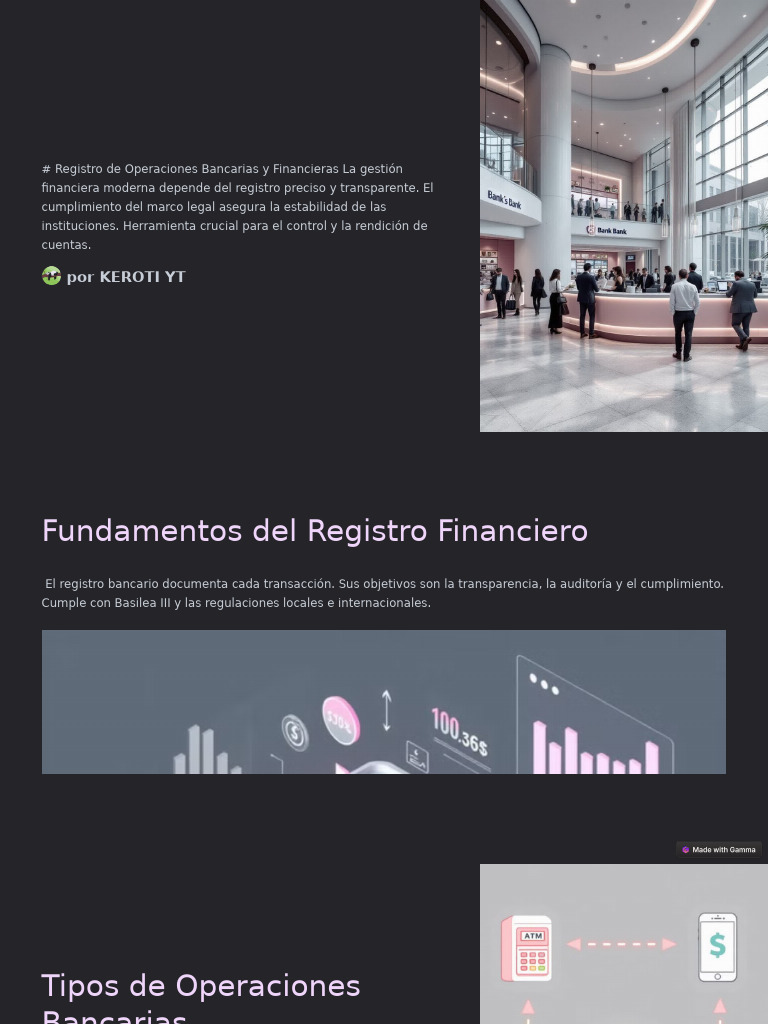 Registro de Operaciones Bancarias y Financieras La Gestion Financiera ...