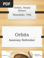 PA Axial Caldwell Method Overview | PDF | Skull | Radiography