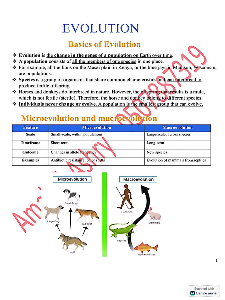 Evolution Notes - by Mrs. Amal Al-Ashry | PDF
