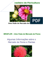 Instituto Brasileiro de Floricultura: Uma Visão Do Mercado de Flores