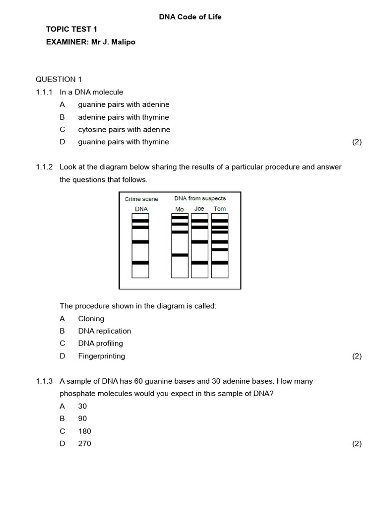 DNA Test Questions and Answers Guide | PDF | Dna | Nucleic Acids