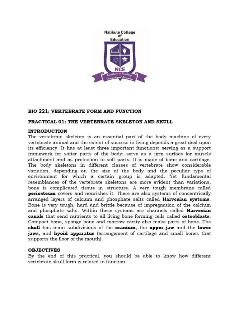 Vertebrate Form and Function Practicals - 020015 | PDF | Atrium (Heart ...