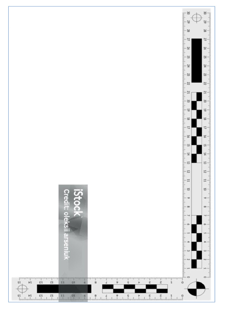 Ruler | PDF