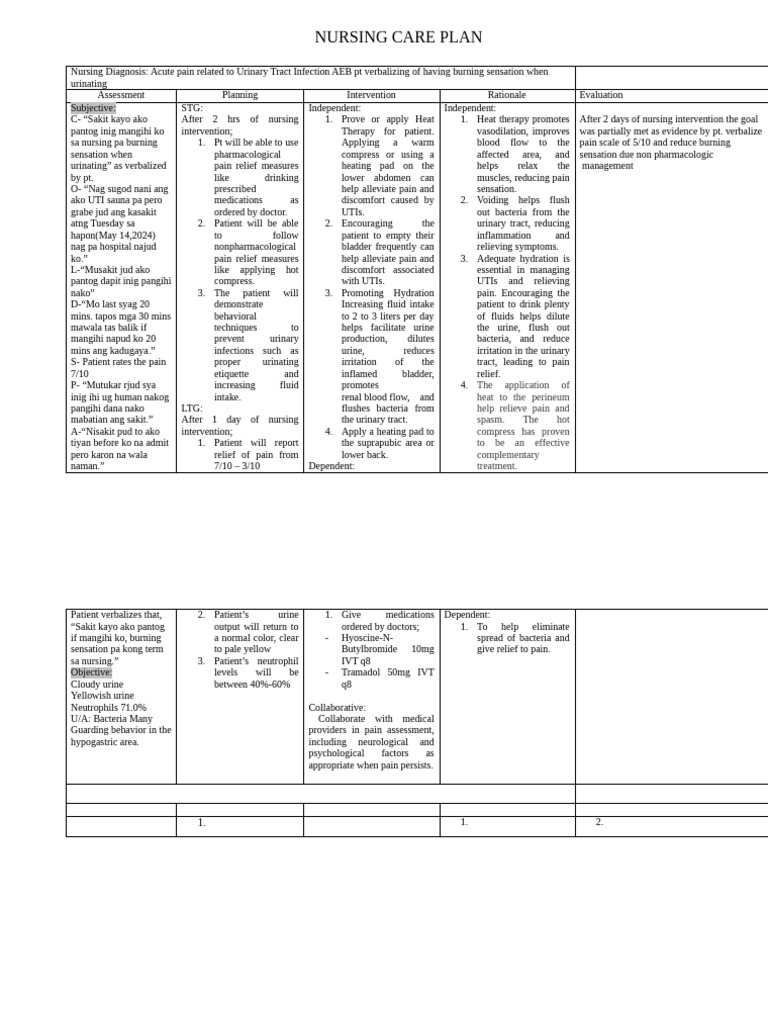Nursing Diagnosis UTI | PDF | Urinary Tract Infection | Urinary ...