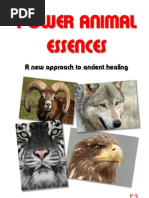 The Power Animal Essences
