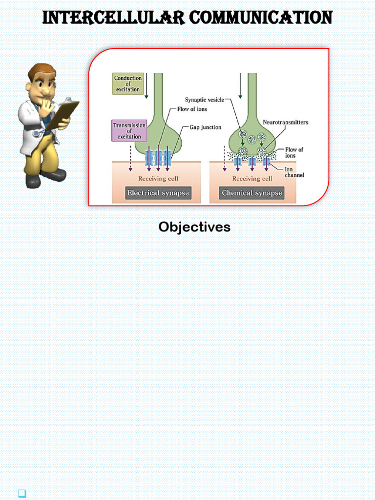 Mechanisms of Intercellular Communication | PDF | Cell Signaling | Synapse