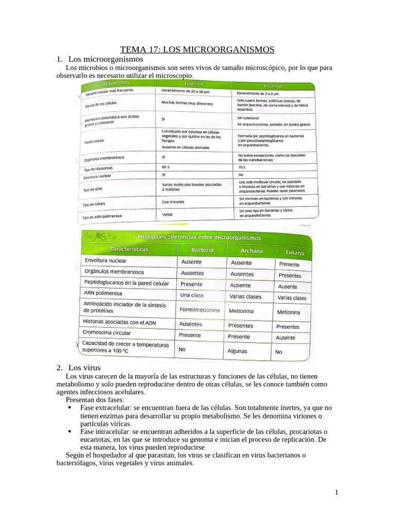 Microorganismos: Virus y Bacterias | PDF | Virus | Las bacterias