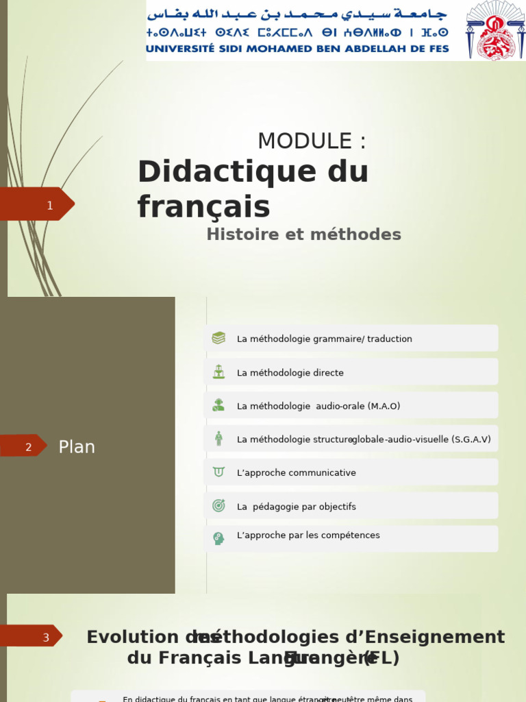 Méthodologies d'enseignement du français | PDF | Pédagogie | Apprentissage