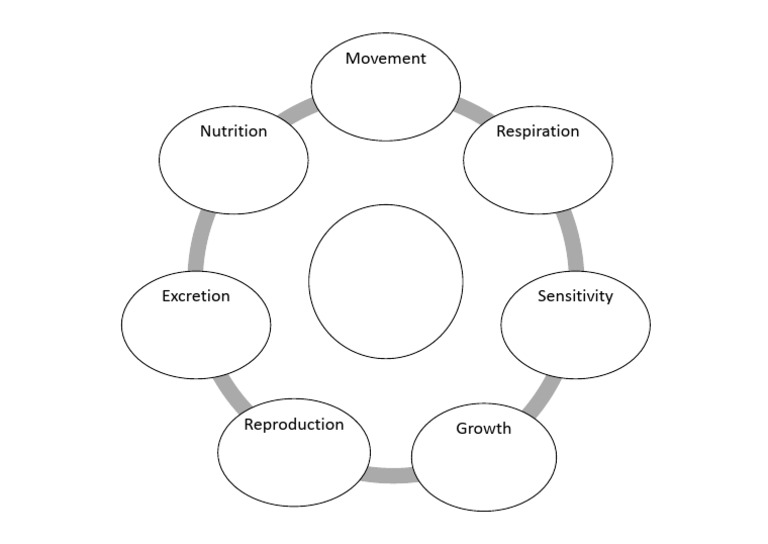 Life Processes in Organisms | PDF