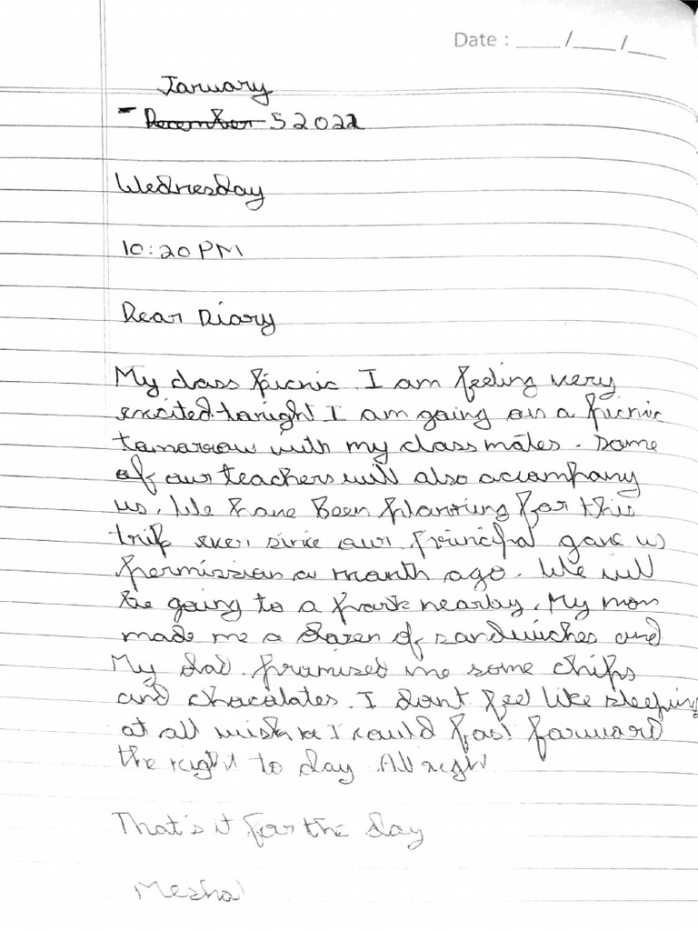 Diary Entry | PDF