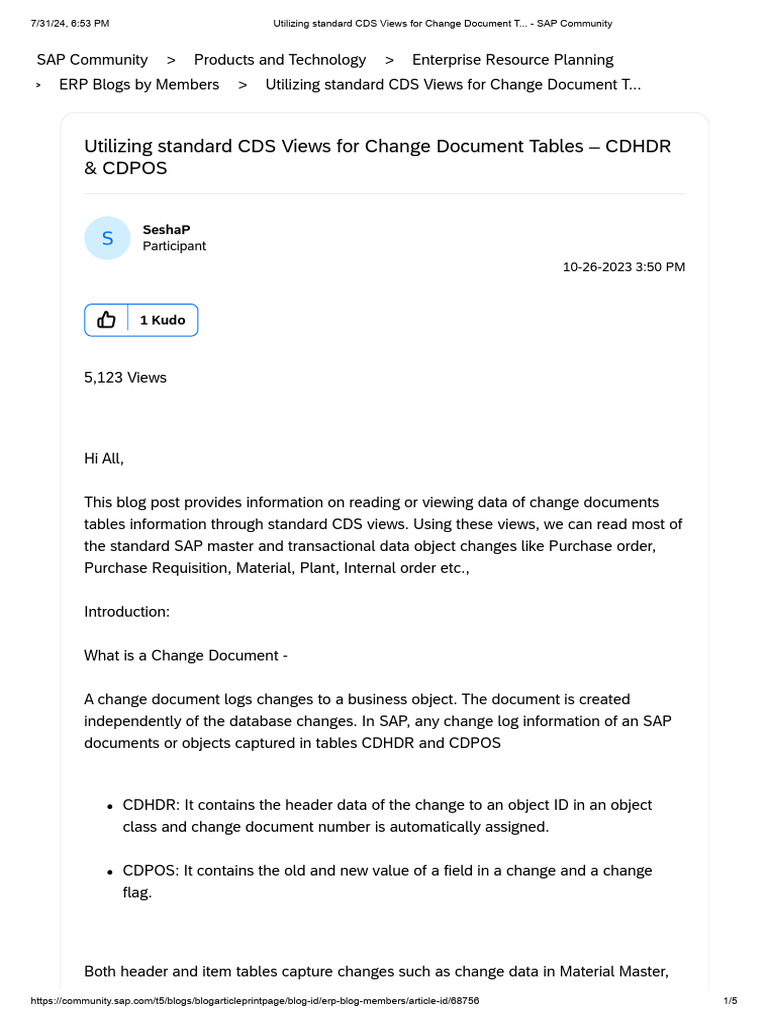 CDS Views for Change Document Tables | PDF | Enterprise Resource ...