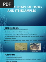 Fish Morphology and Body Classification | PDF | Fish | Aquatic Organisms