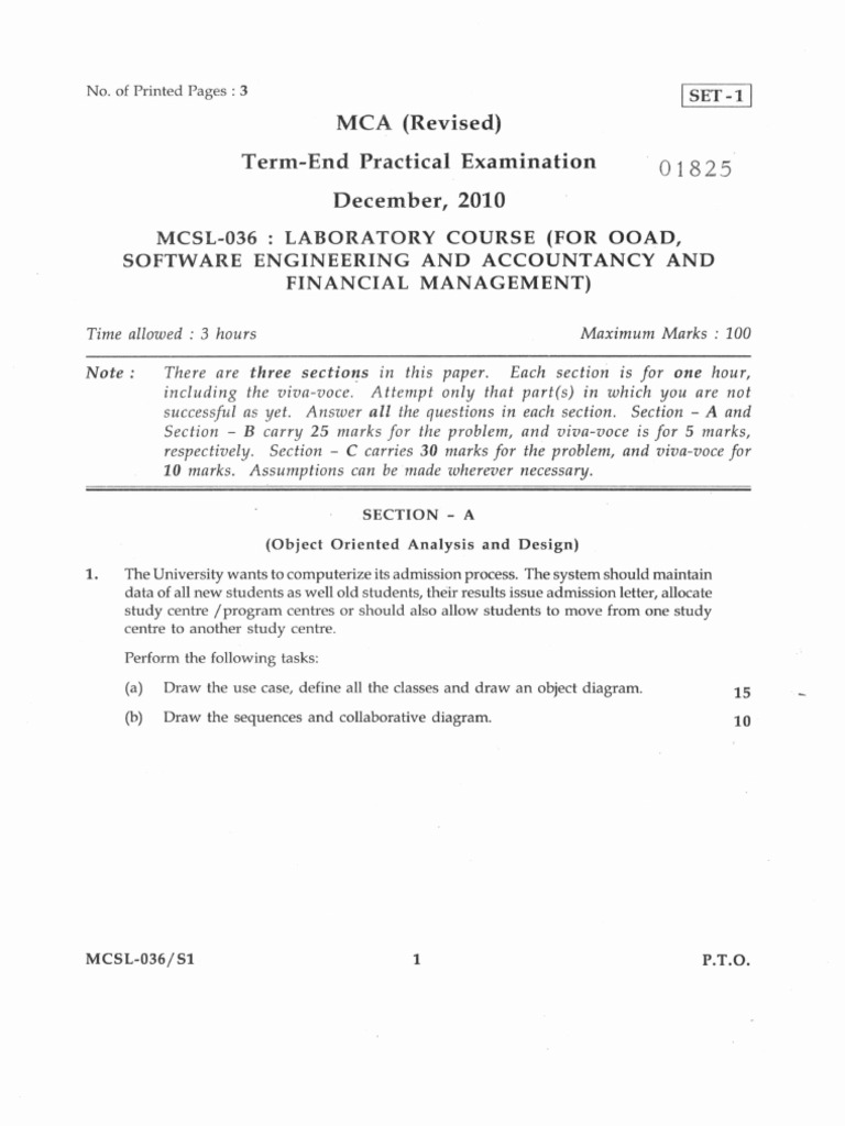 MCA Lab Practical Examination Guide | PDF