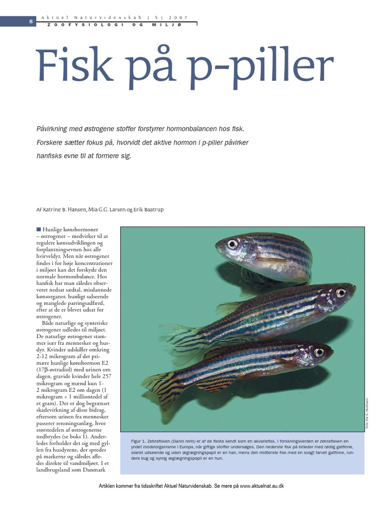 Fisk På P-Piller | PDF