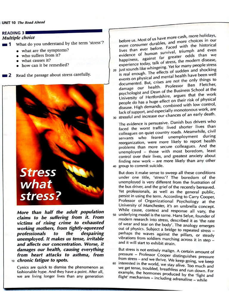 Stress - Text 2 | PDF