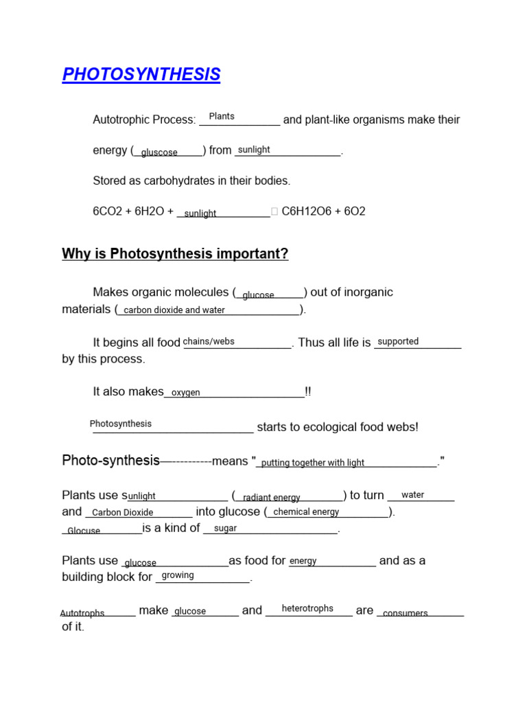 Photosynthesis Notes | PDF | Photosynthesis | Chloroplast