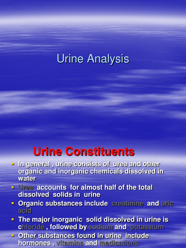 Urine Analysis PDF Urine Urinary System