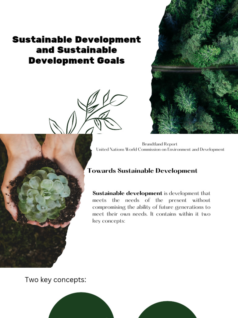 Understanding Sustainable Development Goals | PDF | Sustainability ...