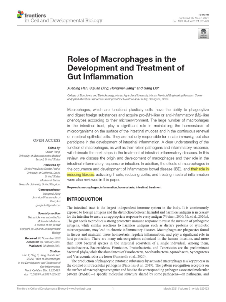 Roles of Macrophages in the Development and Treatment of Gut ...