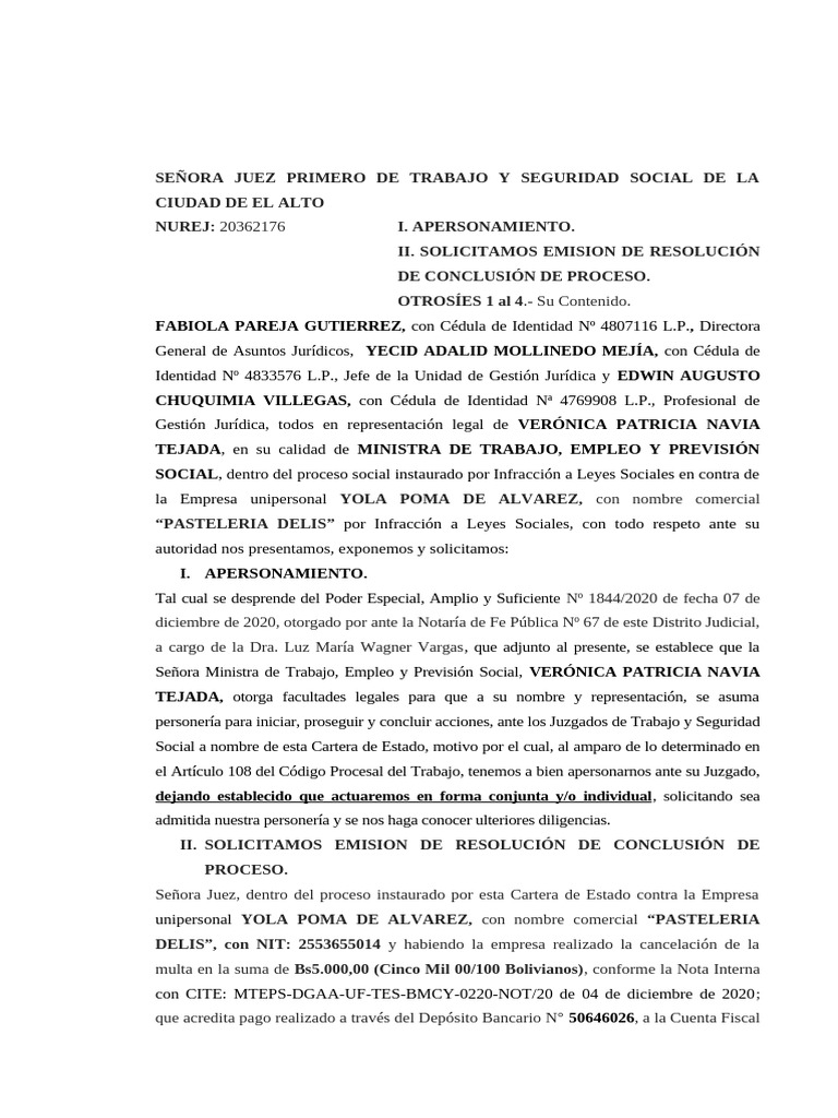 Solicita Resolucion de Conclusion Del Proceso | PDF