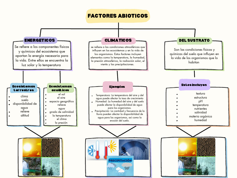 Factores Bióticos y Abióticos en Ecosistemas | PDF | Suelo | Clima