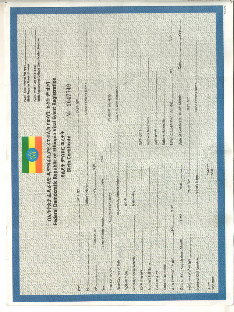 Scan BRZ Cert | PDF