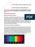 Effect of Light Color on Plant Photosynthesis