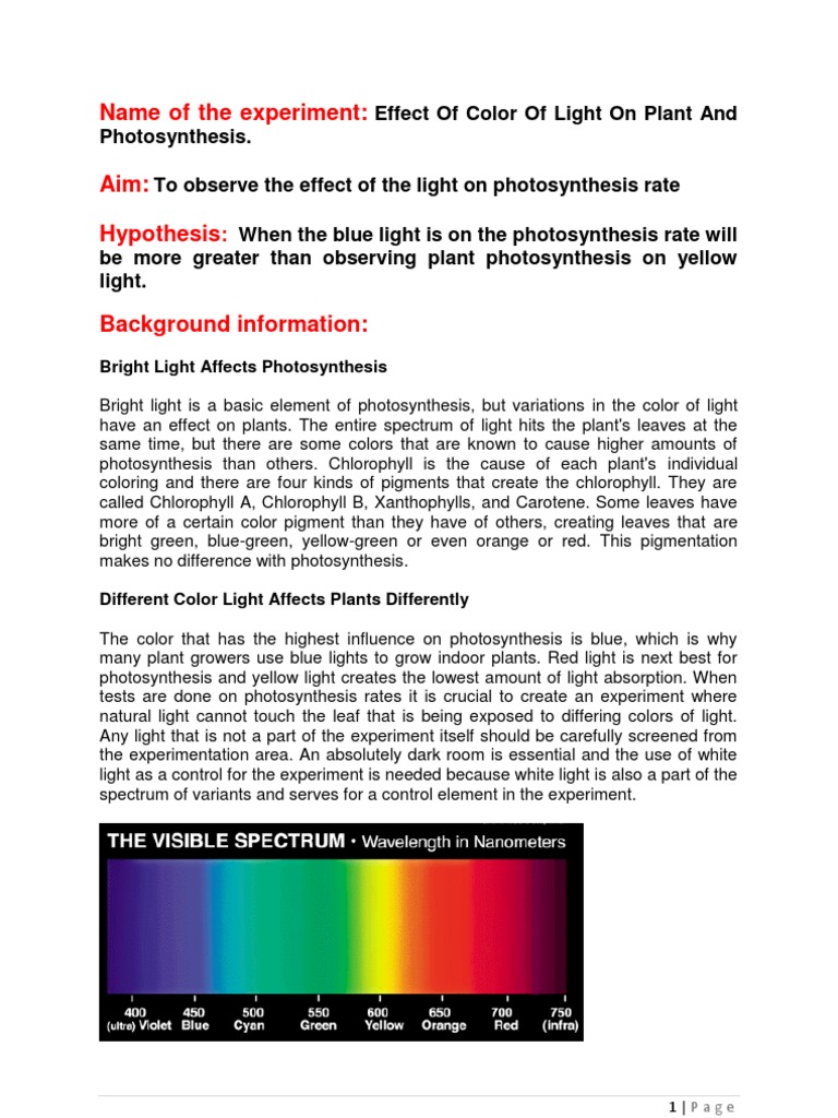 Color Light's Impact on Photosynthesis | PDF | Chlorophyll | Photosynthesis