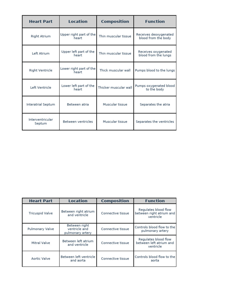 Heart Parts Presentation | PDF | Ventricle (Heart) | Atrium (Heart)