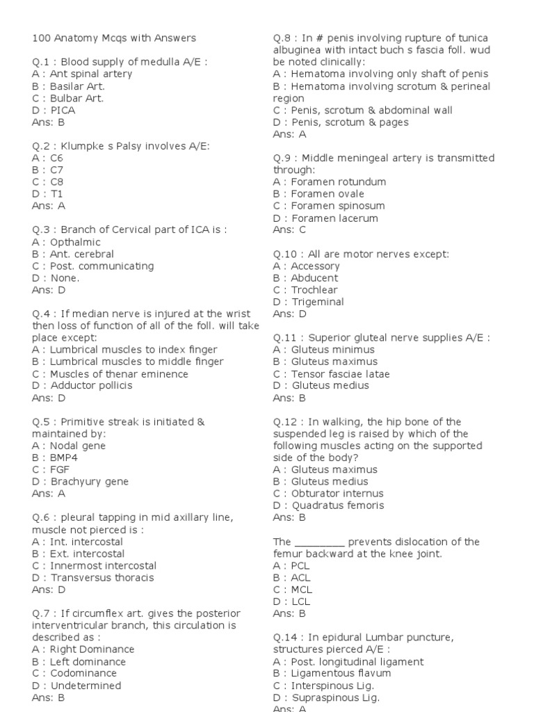 Anatomy Mcqs With Answers PDF Pancreas Abdomen