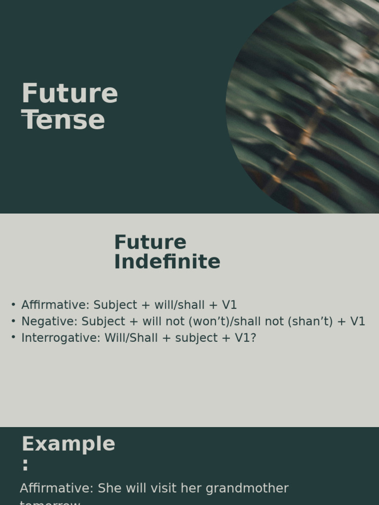 Future Tense Grammar Guide | PDF | Linguistic Typology | Syntax