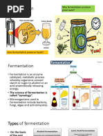 Overview of Fermentation Types | PDF | Fermentation | Biology