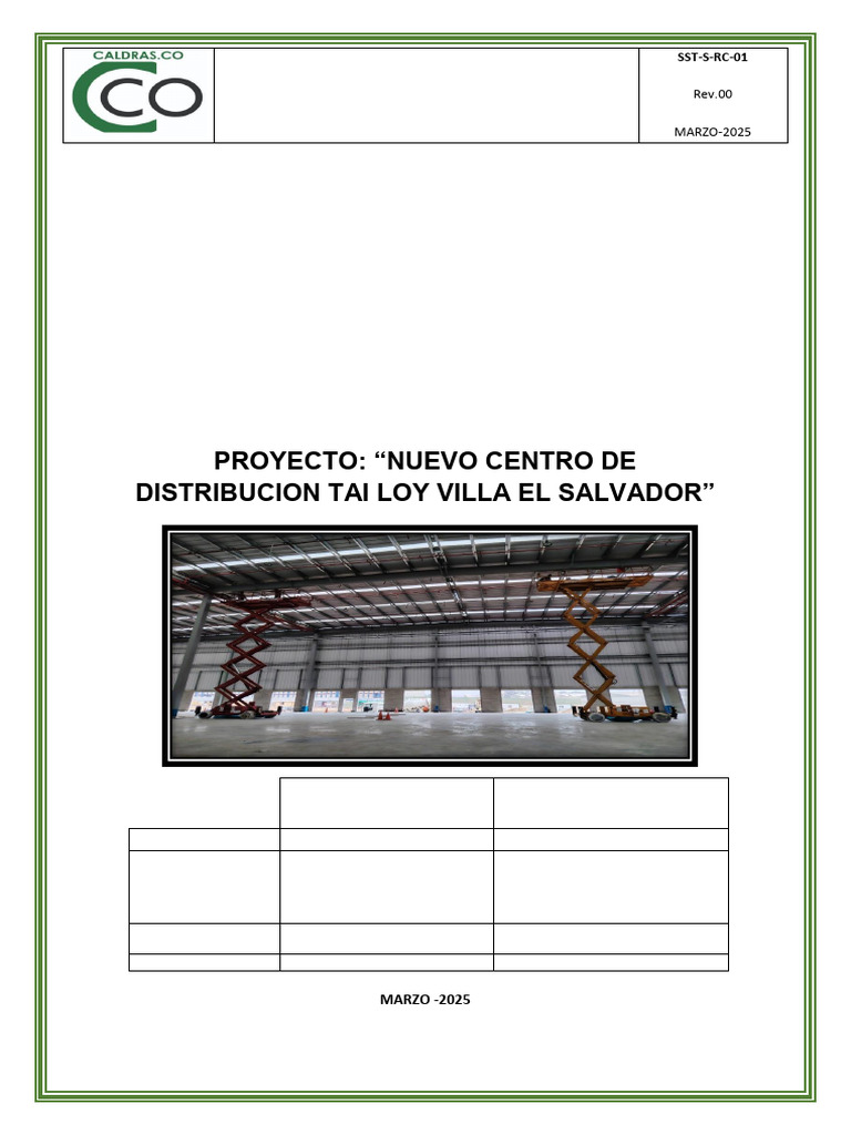 Informe Mensual de SST - Marzo 2025 | PDF | Seguridad y salud ...