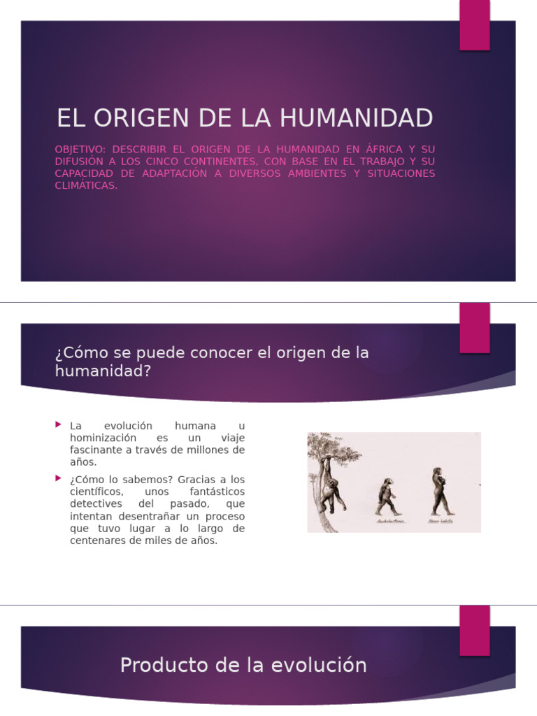 El Origen de La Humanidad | PDF | Humano | Homo