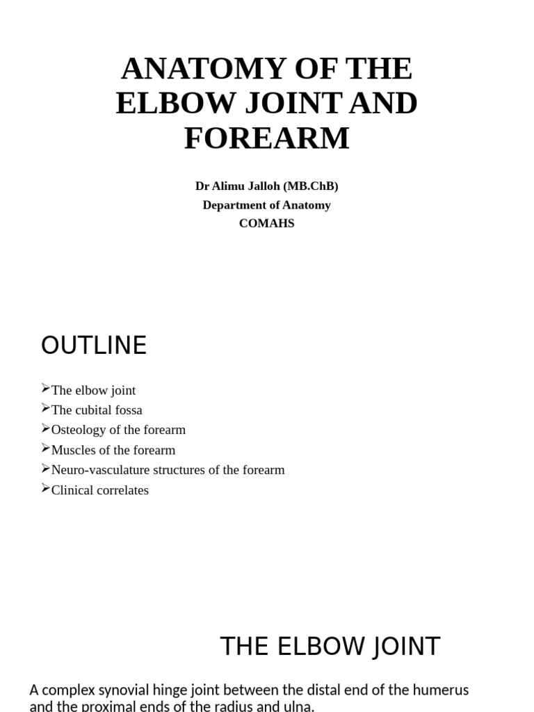 Elbow Joint and Forearm Anatomy Guide | PDF | Thumb | Elbow