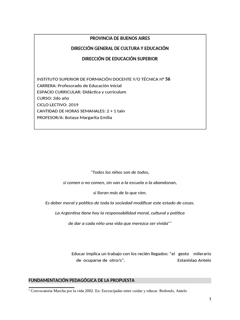 Didáctica y Currículum en Educación Inicial | PDF | Plan de estudios ...