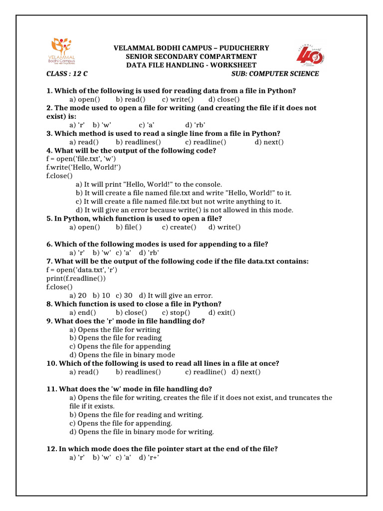 Python File Handling Worksheet for Class 12 | PDF | Text File | Data